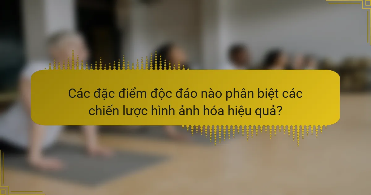Các đặc điểm độc đáo nào phân biệt các chiến lược hình ảnh hóa hiệu quả?