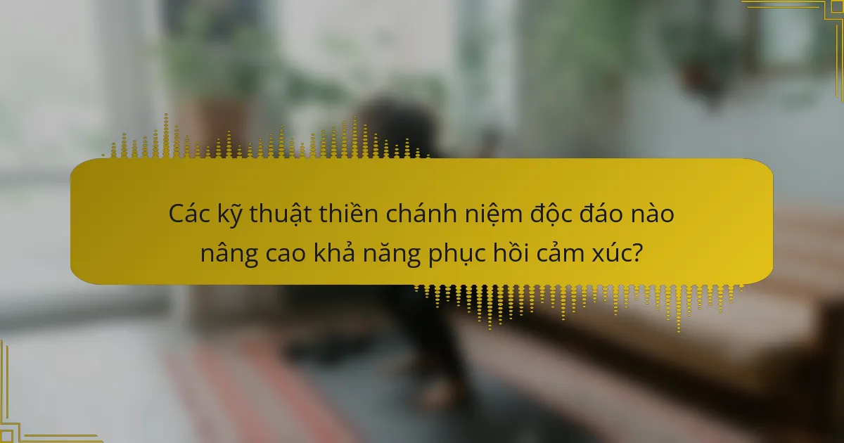 Các kỹ thuật thiền chánh niệm độc đáo nào nâng cao khả năng phục hồi cảm xúc?