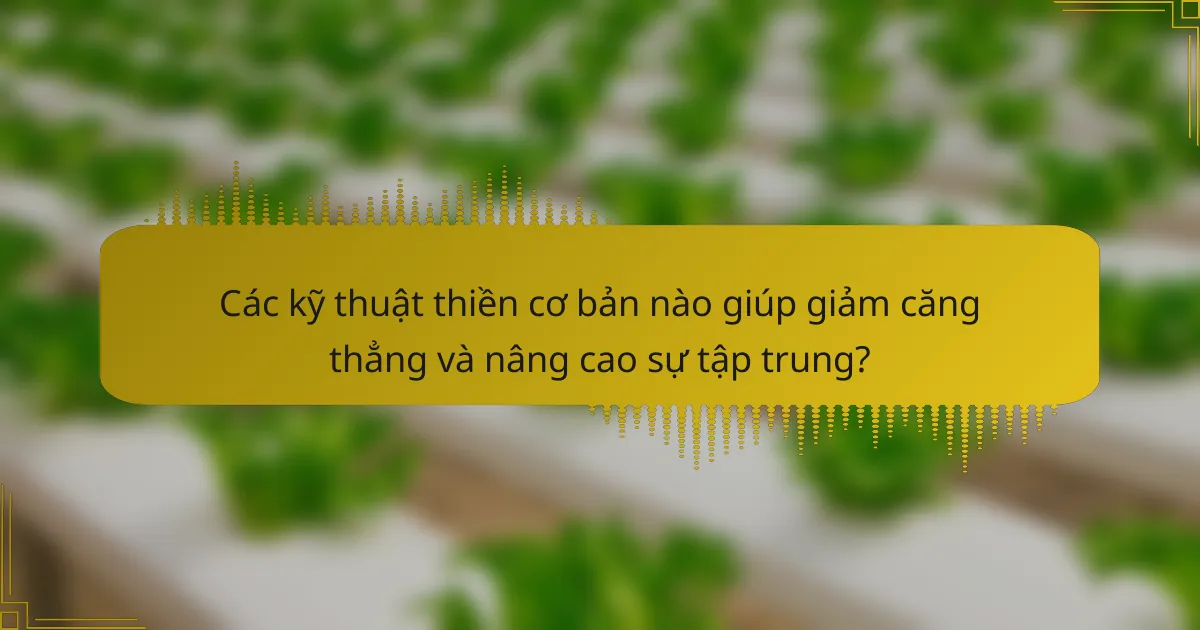 Các kỹ thuật thiền cơ bản nào giúp giảm căng thẳng và nâng cao sự tập trung?