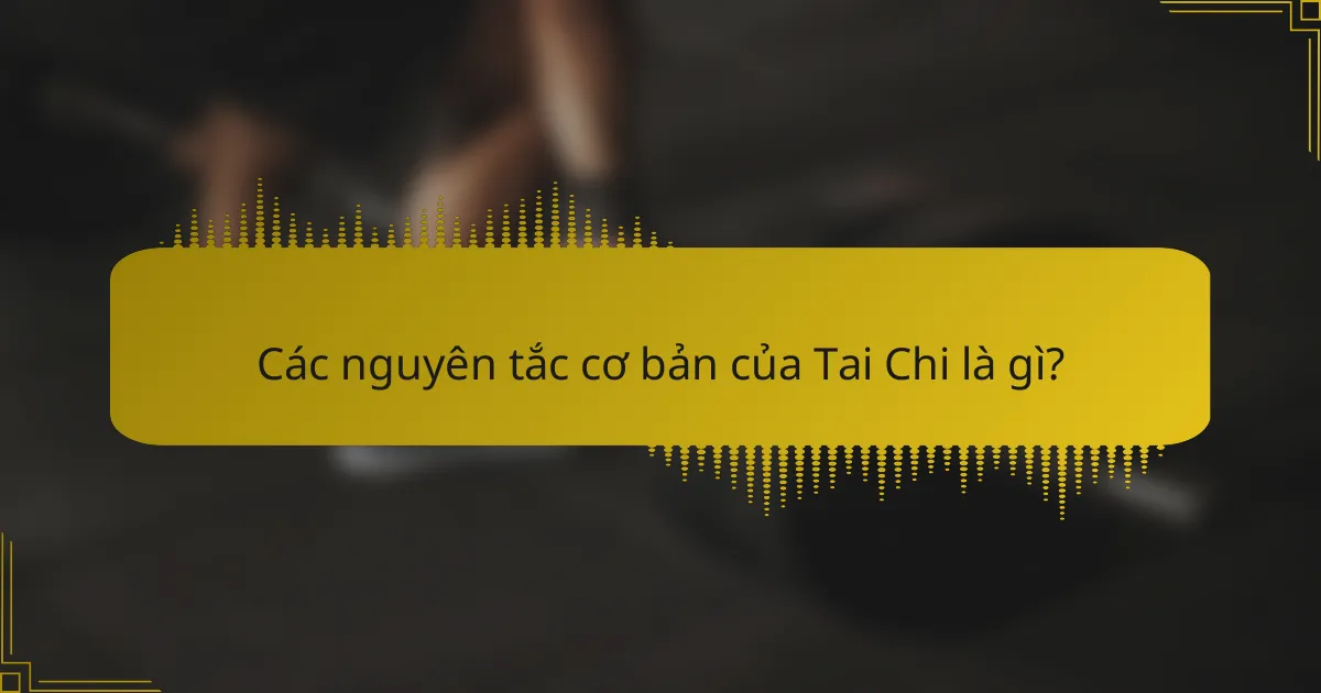 Các nguyên tắc cơ bản của Tai Chi là gì?
